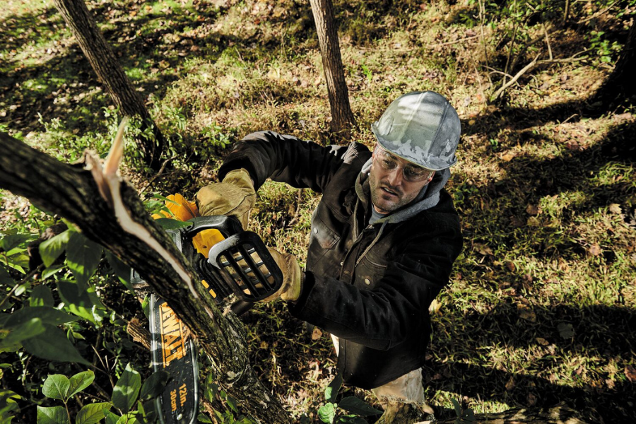 How to choose the right chainsaw?