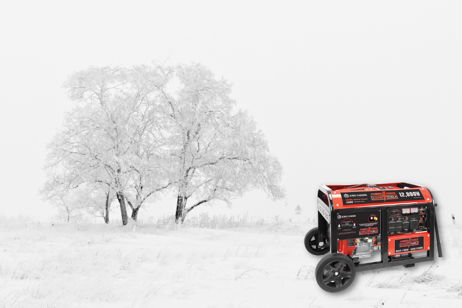 HOW TO BETTER CHOOSE YOUR GENERATOR