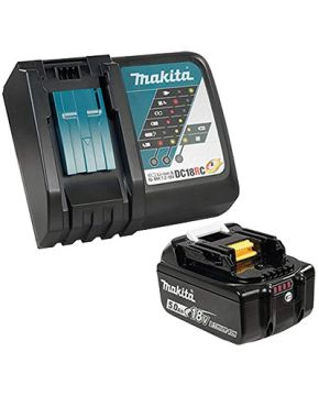 CHARGEUR RAPIDE AVEC 1 x PILE 5.0Ah